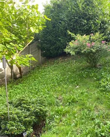 Tinyhouse Woody At The Water *