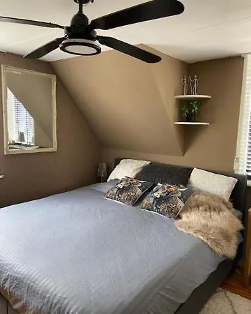 Tinyhouse Woody At The Water Zaandam