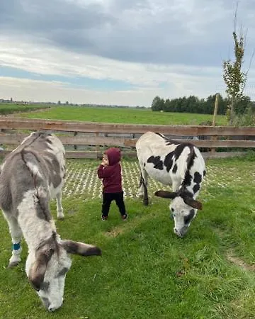 Homestay Tinyhouse Woody At The Water