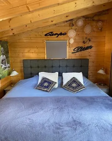 Tinyhouse Woody At The Water Zaandam