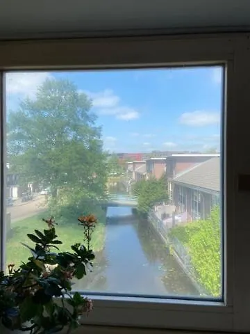 Tinyhouse Woody At The Water 民宿 *