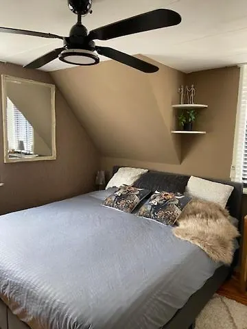 Tinyhouse Woody At The Water 赞丹