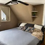 Tinyhouse Woody At The Water Zaandam