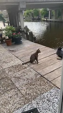 Tinyhouse Woody At The Water ホームステイ